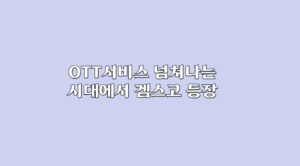 OTT 서비스